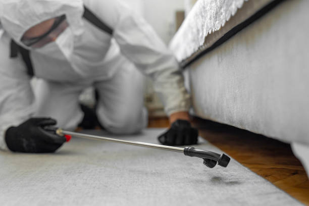 Professional Bed Bug Control technician working in Central City, NE