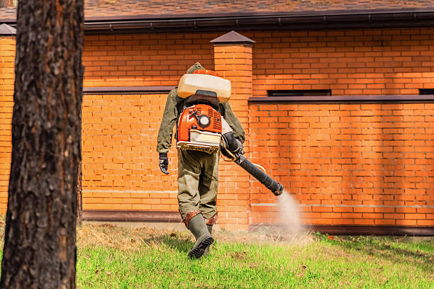 Trusted Termite Control service in Central City, NE - Nex Pest Control